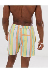 Pastel Stripe Swim Shorts