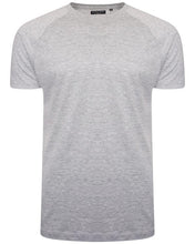 Load image into Gallery viewer, T-Shirts - Speed Stripe T-Shirt Grey