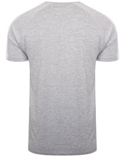 Load image into Gallery viewer, T-Shirts - Speed Stripe T-Shirt Grey
